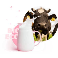 cow and a jug with milk